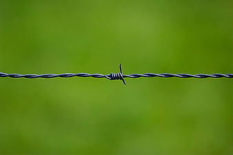 Barbed wire fence close-up against blurred green background