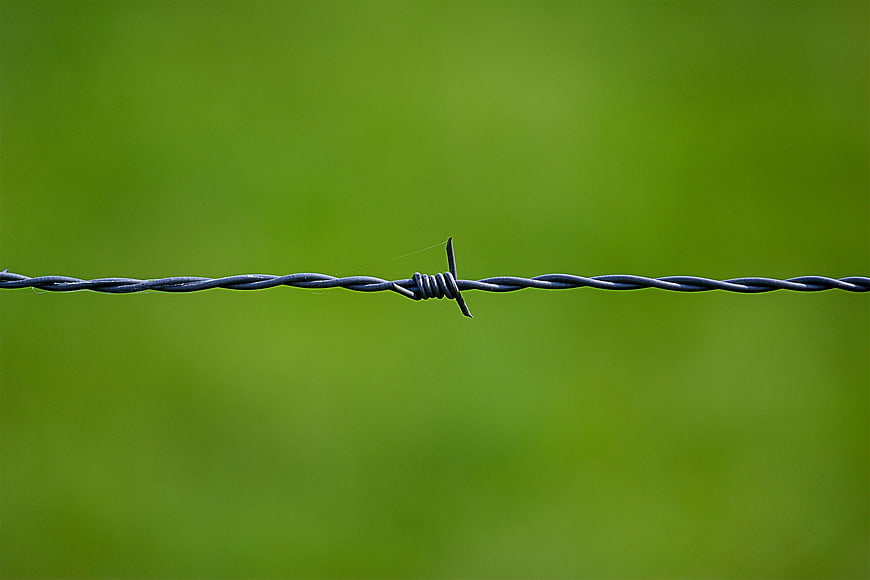 Barbed wire fence close-up against blurred green background