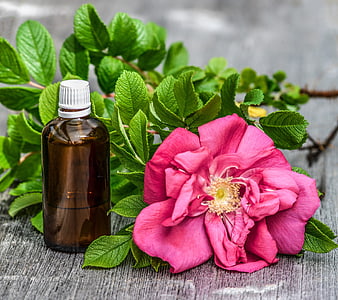 Amber essential oil bottle with fresh pink rose and green leaves on rustic wood