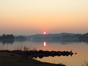 Serene Sunset Over Lake with Duck and Rocky Shore