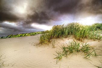 Dramatic storm clouds over coastal sand dunes with beach grass