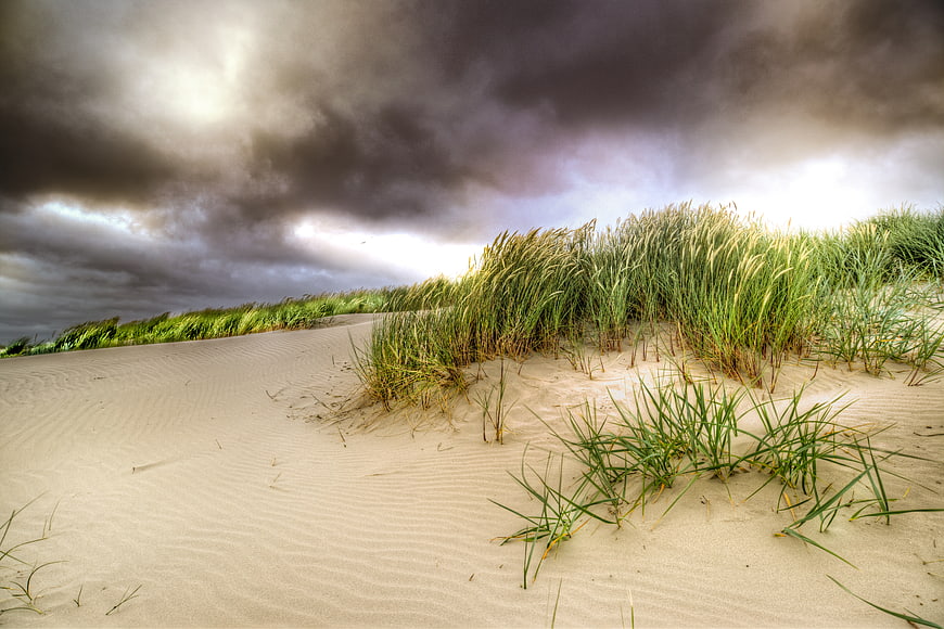 Dramatic storm clouds over coastal sand dunes with beach grass