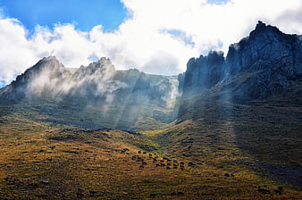 Dramatic mountain landscape with sunbeams and grazing herd