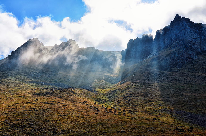 Dramatic mountain landscape with sunbeams and grazing herd
