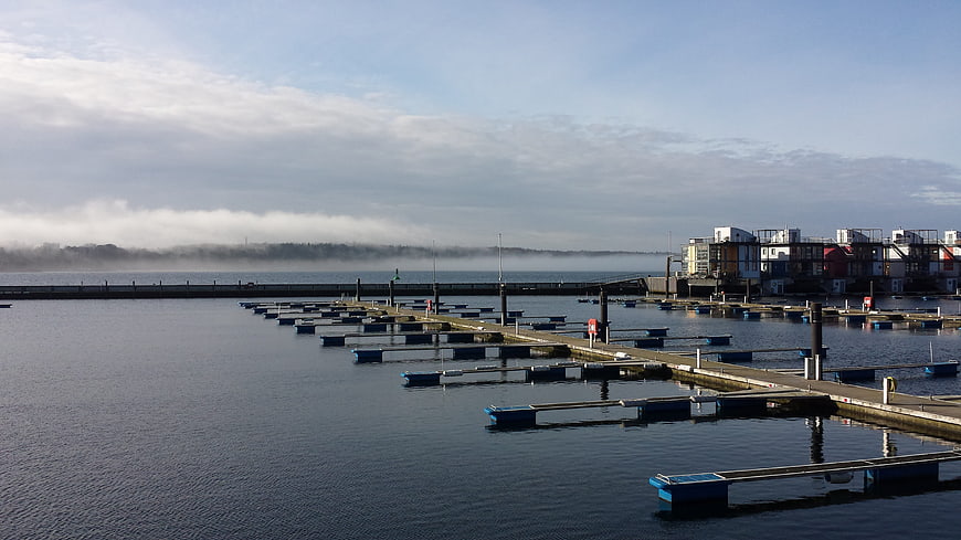 Serene marina with empty docks and morning fog