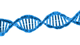 Blue DNA Double Helix 3D Render Isolated on White Background