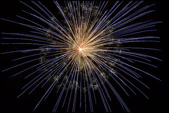 Blue and Gold Fireworks Bursting in Night Sky