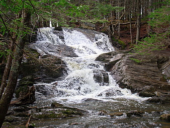 Flowing Waterfall in Rocky Forest Stream