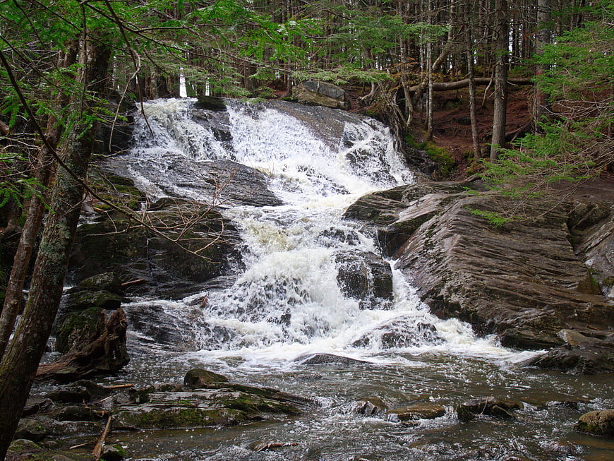 Flowing Waterfall in Rocky Forest Stream