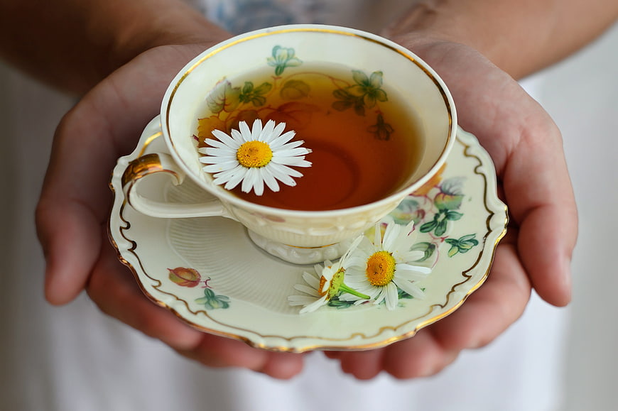 Hands holding ornate porcelain teacup with chamomile tea and daisies