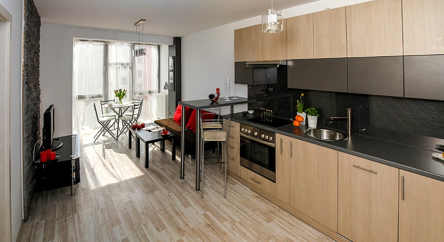 Modern Studio Apartment with Kitchenette and Living Area
