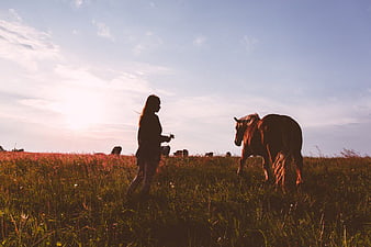 Woman Silhouette with Horse in Golden Hour Field