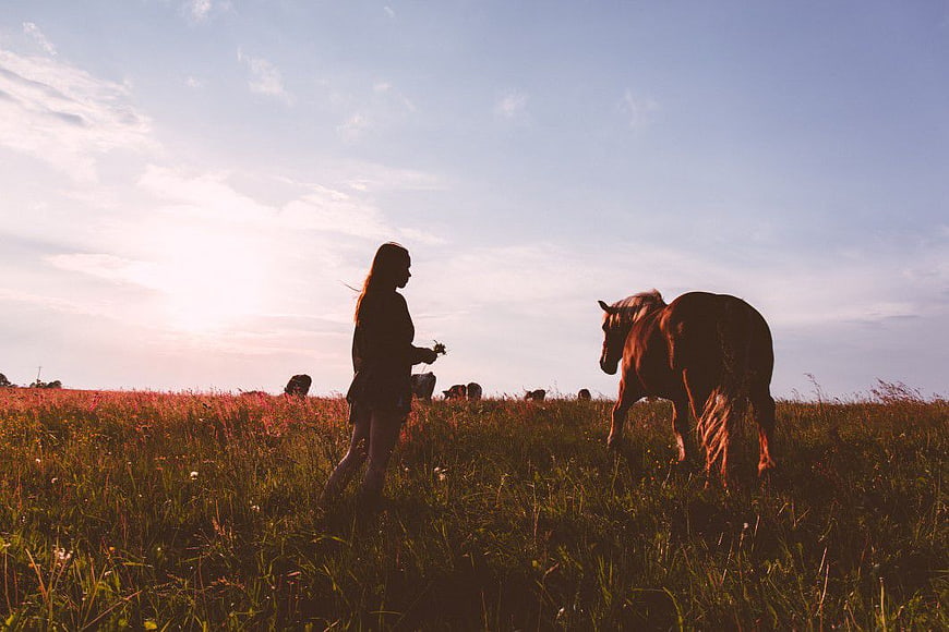 Woman Silhouette with Horse in Golden Hour Field