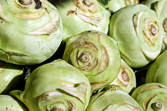 Fresh green kohlrabi vegetables close-up