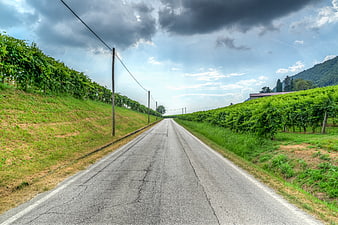 Empty asphalt road through Italian vineyards under dramatic sky