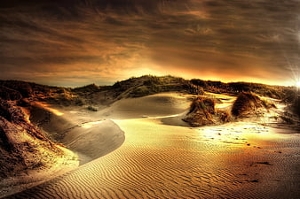 Dramatic Sand Dunes at Sunset with Golden Light