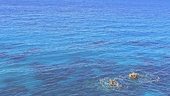 Aerial View of Blue Ocean Waves and Rocks