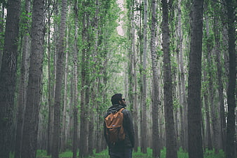 Man with Backpack Standing in Dense Forest