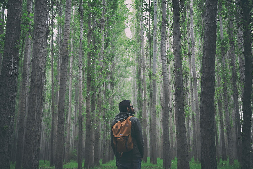 Man with Backpack Standing in Dense Forest