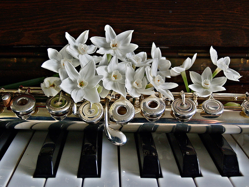 White Jonquils Resting on Flute and Piano Keys