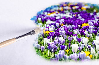 Paintbrush revealing colorful spring crocus flowers on white canvas