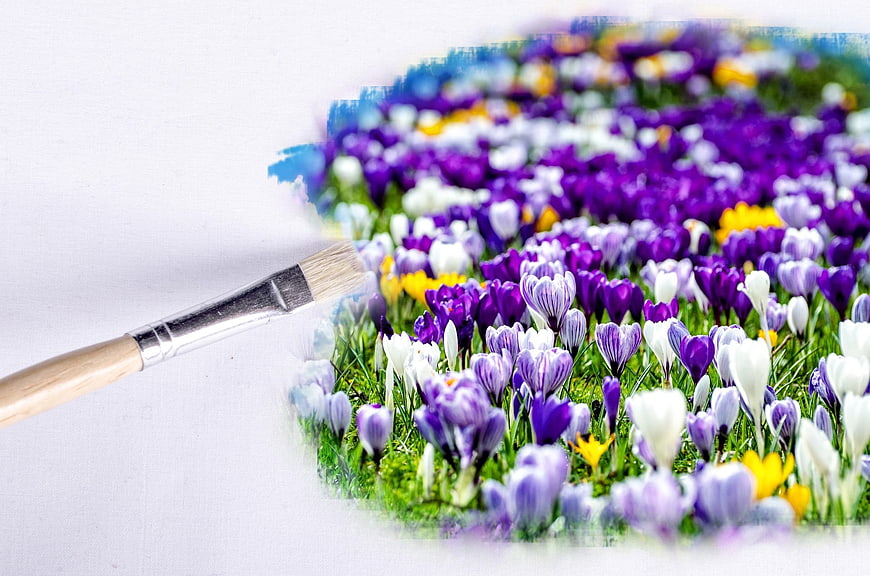 Paintbrush revealing colorful spring crocus flowers on white canvas