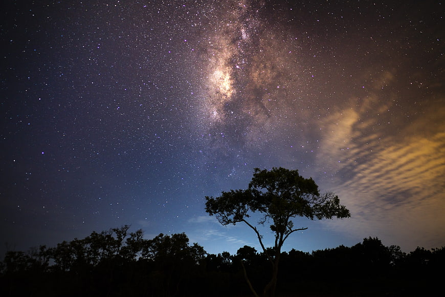Milky Way Galaxy Over Silhouette Tree at Night
