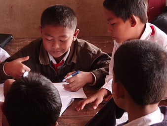 Young schoolboys studying together at a wooden desk