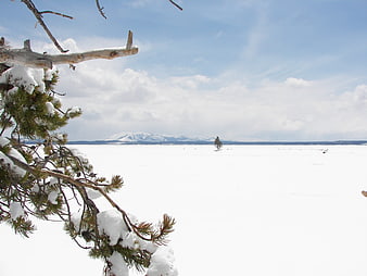 Snowy pine branch framing frozen lake landscape