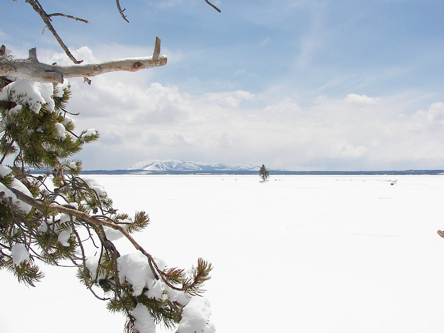 Snowy pine branch framing frozen lake landscape