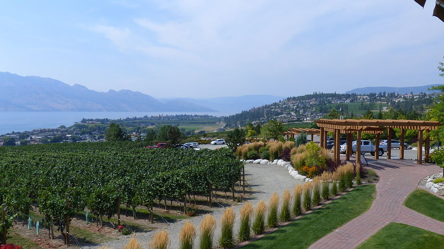 Winery Vineyard View Over Lake and Mountains