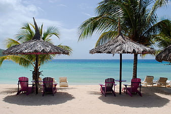 Tropical Beach Resort with Thatched Umbrellas and Purple Chairs