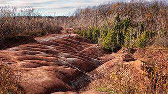 Red Earth Ridges and Forest Landscape in Autumn