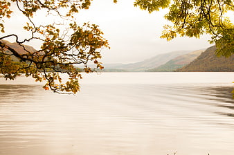 Serene Autumn Lake View with Golden Tree Branches
