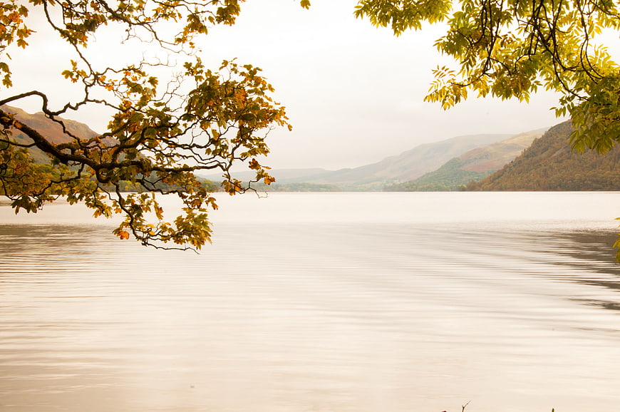 Serene Autumn Lake View with Golden Tree Branches