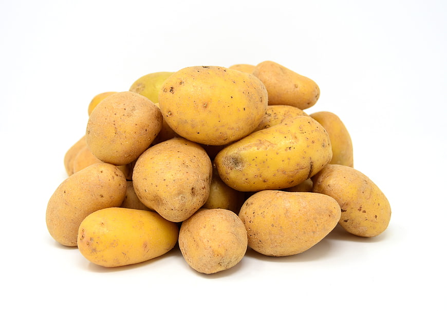 Pile of fresh yellow potatoes on white background