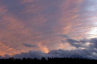 Dramatic pink and orange sunset clouds over dark forest silhouette