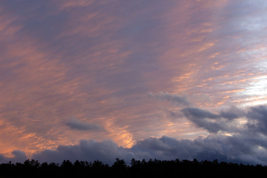Dramatic pink and orange sunset clouds over dark forest silhouette
