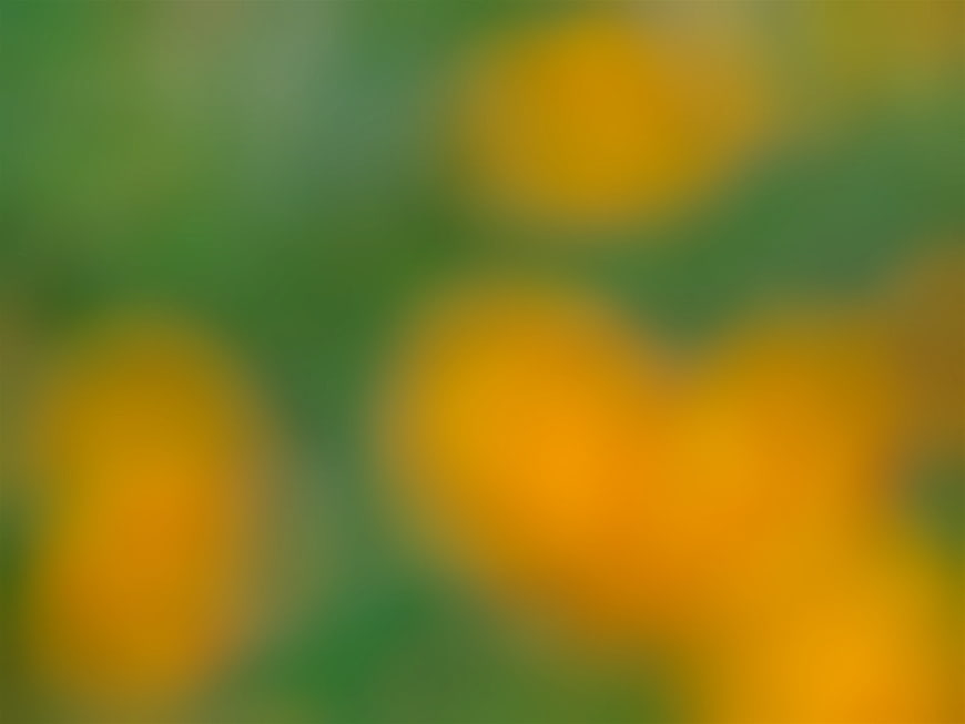Abstract Blurred Yellow and Green Bokeh Background