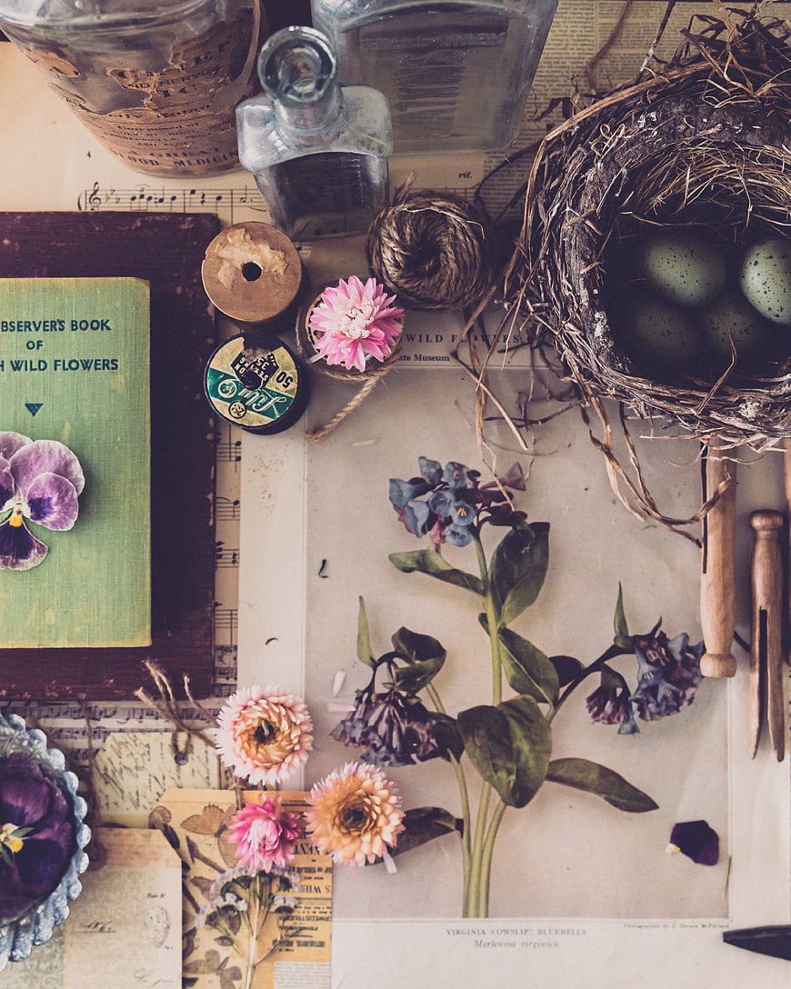 Vintage Botanical Flat Lay with Wildflowers and Bird Nest