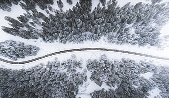 Aerial View of Winding Road Through Snowy Winter Forest
