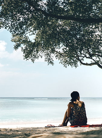 Woman sitting under tree on beach looking at ocean