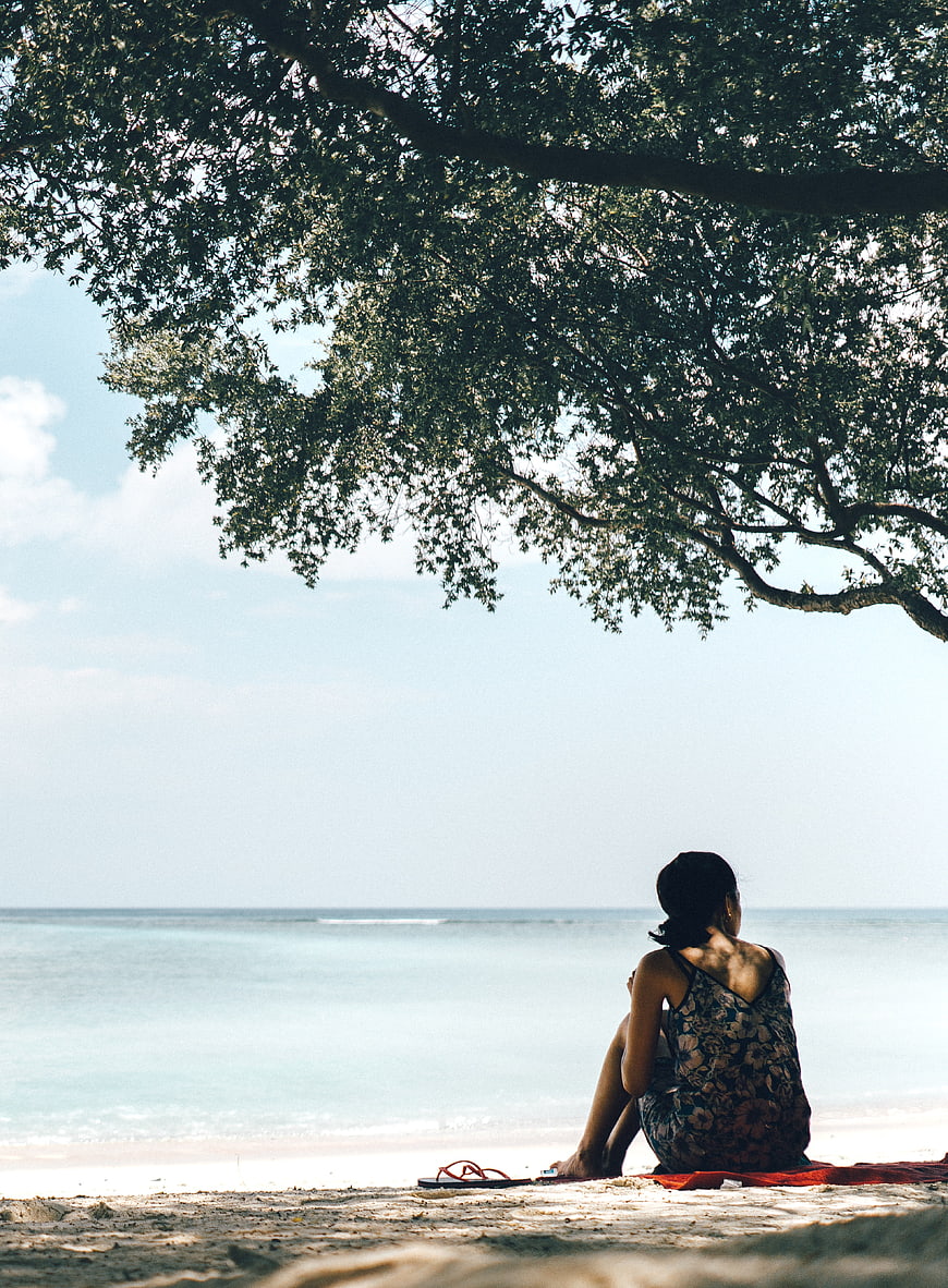 Woman sitting under tree on beach looking at ocean