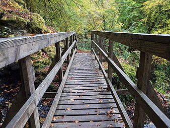 Wooden footbridge in autumn forest with fallen leaves