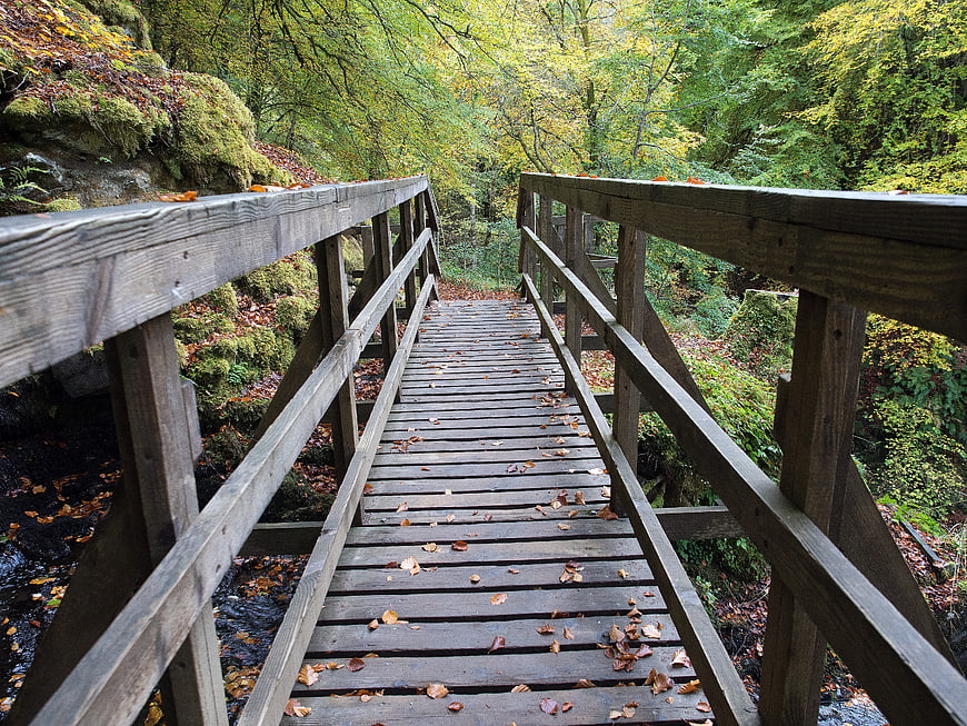 Wooden footbridge in autumn forest with fallen leaves