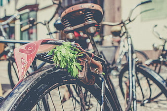 Close-up of vintage bicycle with fresh parsley in leather pouch