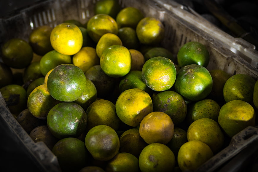 Fresh Green and Yellow Mandarins in a Crate