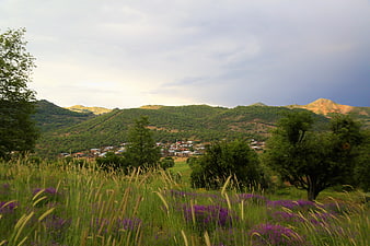 Spring landscape with purple flowers and distant village