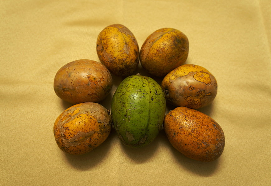 Cluster of Sapodilla Fruits on Beige Background