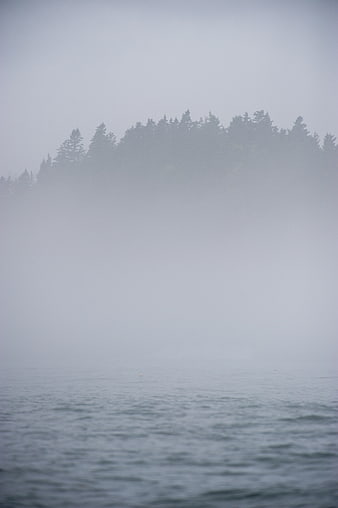 Misty forest silhouette over calm ocean water